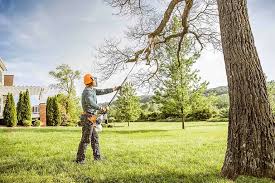 How Our Tree Care Process Works  in Glenmoor, OH